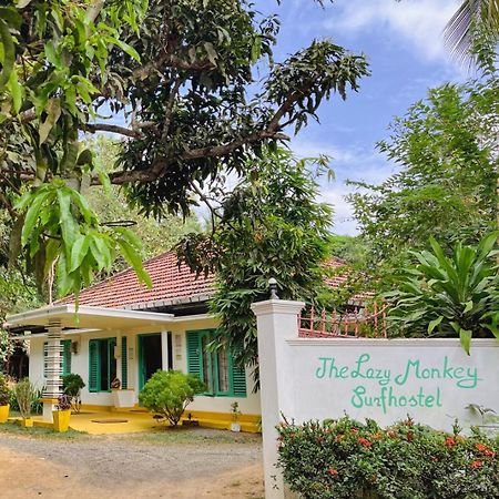Lazy Monkey Surfhostel - Sri Lanka ディックウェラ エクステリア 写真
