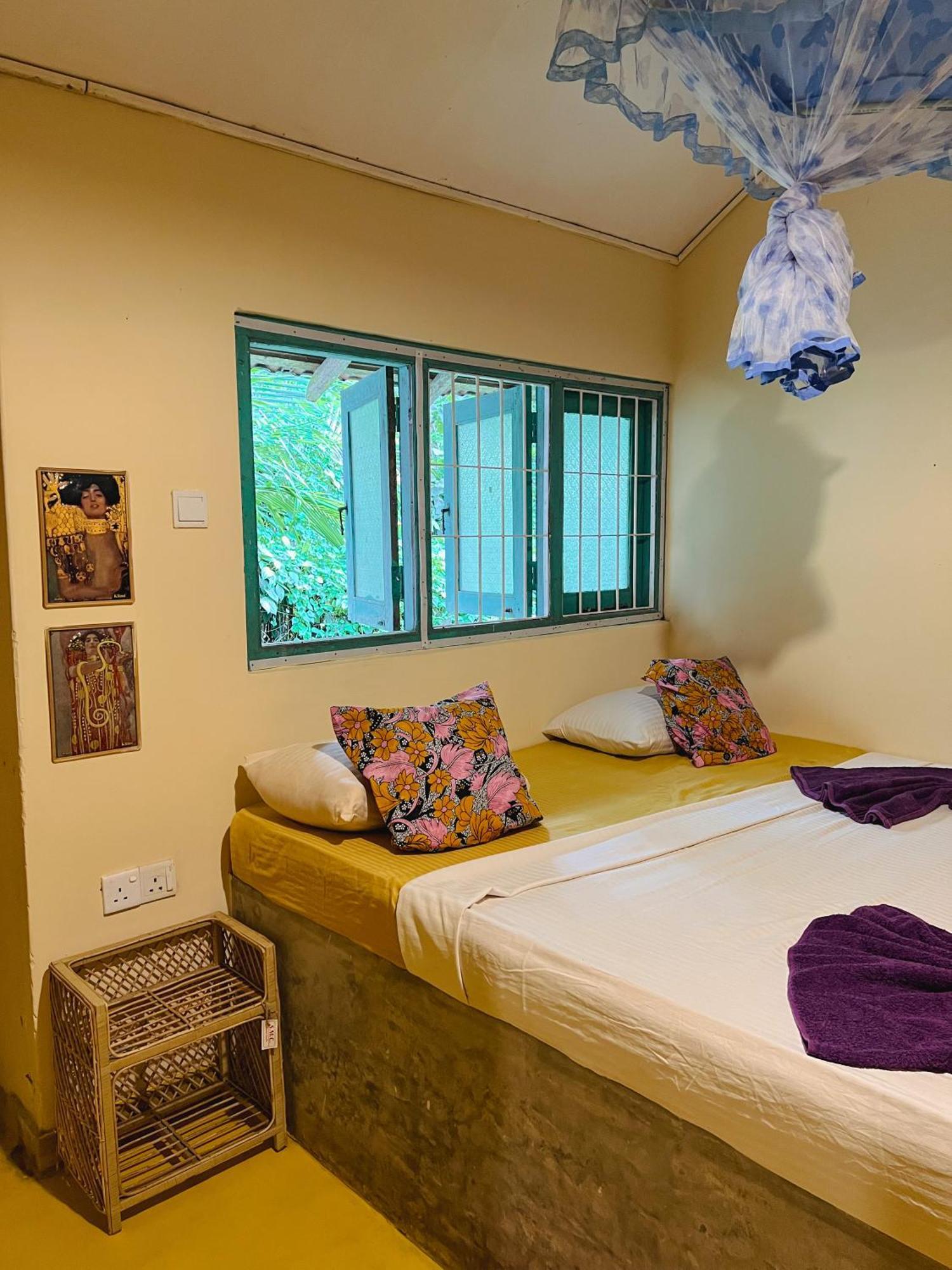 Lazy Monkey Surfhostel - Sri Lanka ディックウェラ エクステリア 写真