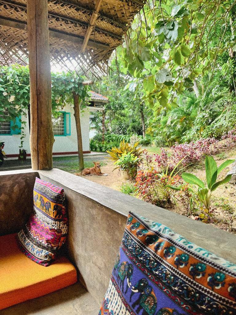 Lazy Monkey Surfhostel - Sri Lanka ディックウェラ エクステリア 写真