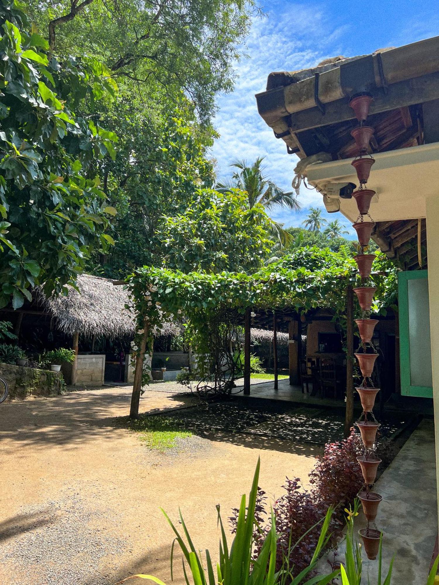 Lazy Monkey Surfhostel - Sri Lanka ディックウェラ エクステリア 写真