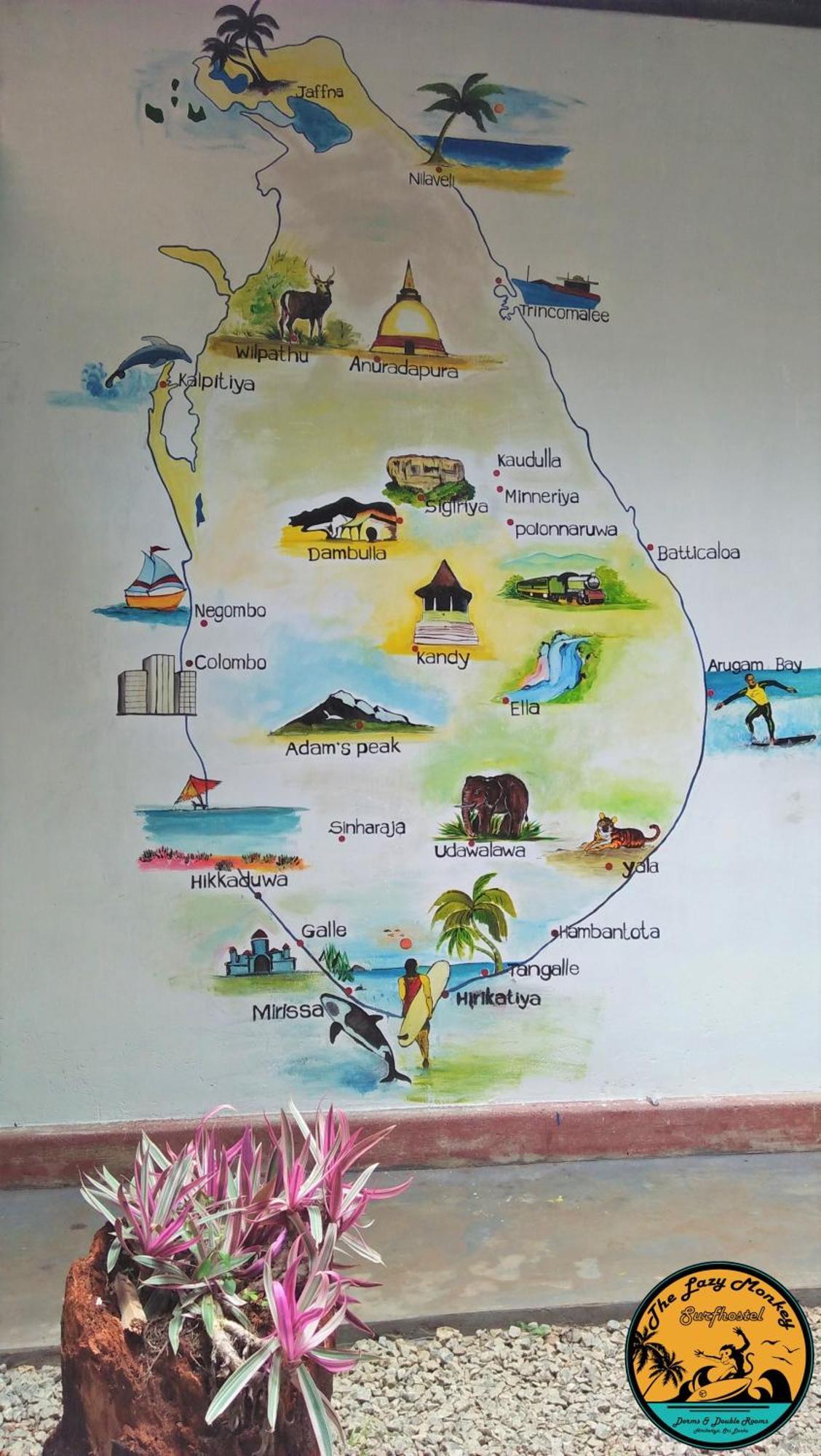 Lazy Monkey Surfhostel - Sri Lanka ディックウェラ エクステリア 写真
