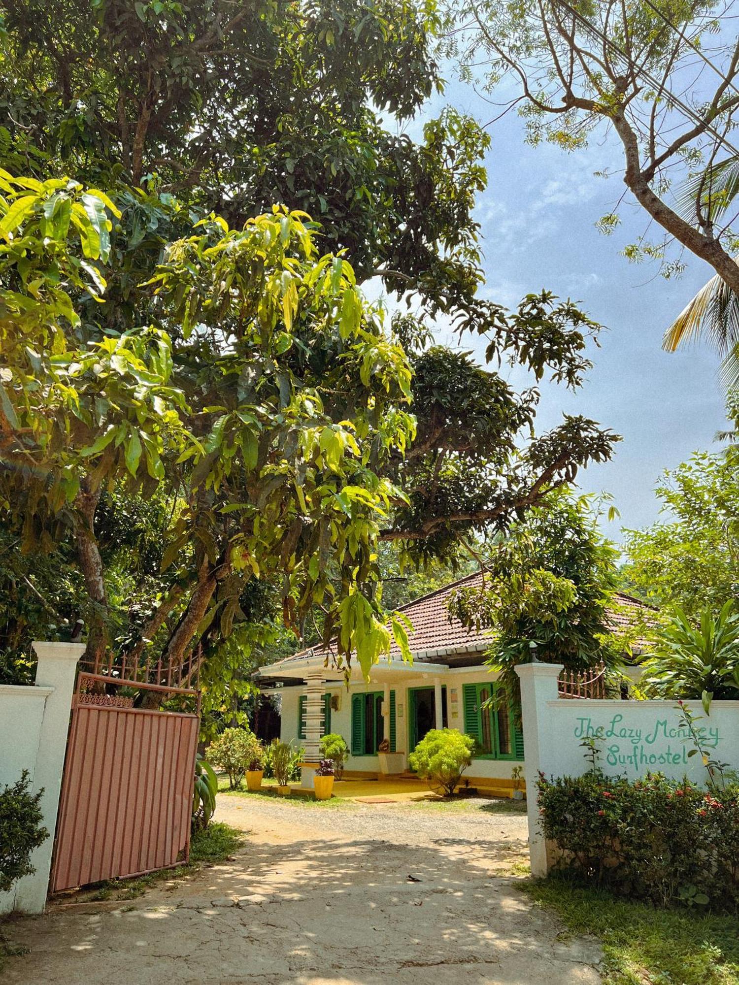 Lazy Monkey Surfhostel - Sri Lanka ディックウェラ エクステリア 写真
