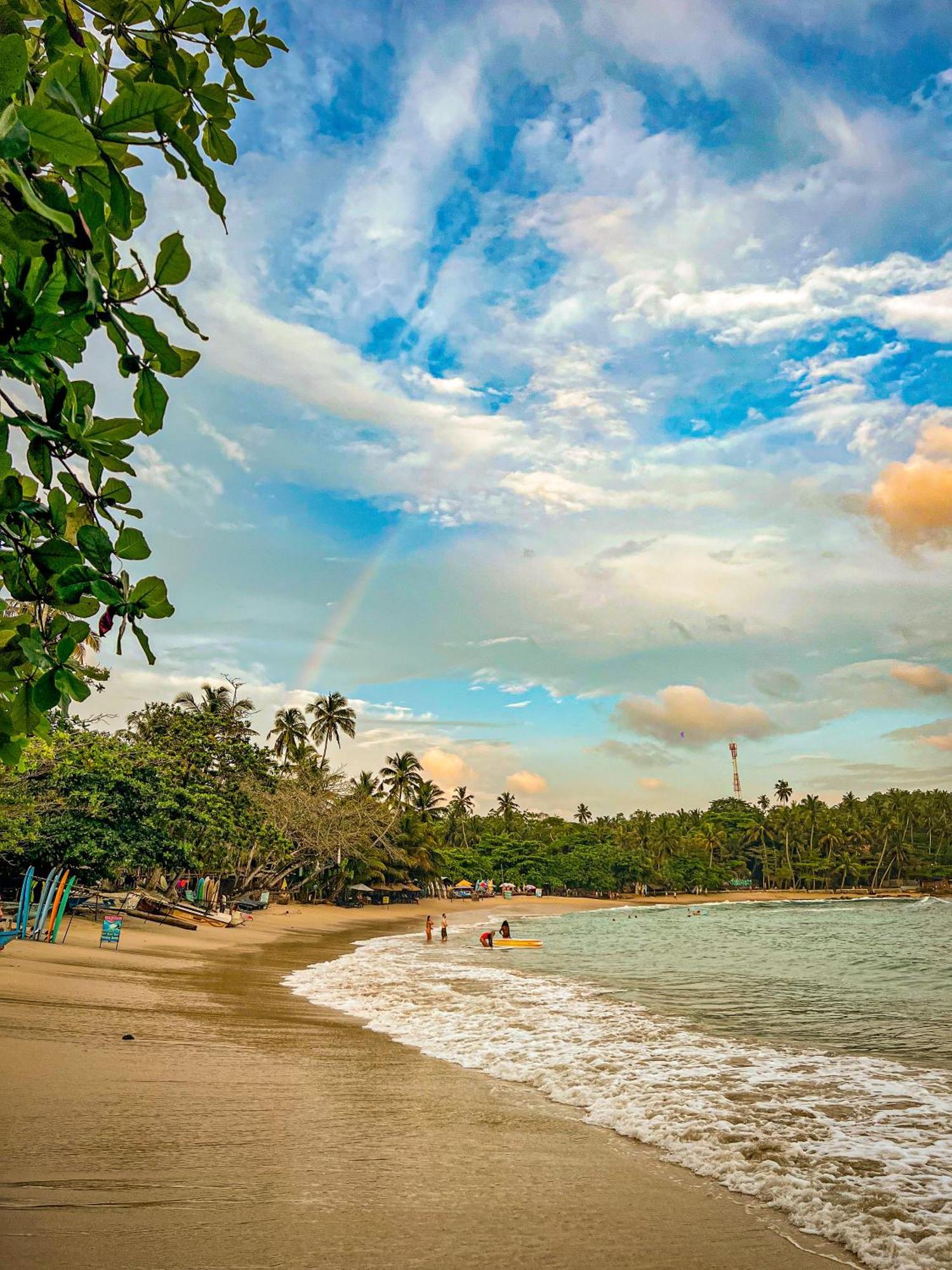 Lazy Monkey Surfhostel - Sri Lanka ディックウェラ エクステリア 写真